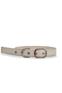 DIY CROSS STITCH DOG COLLAR