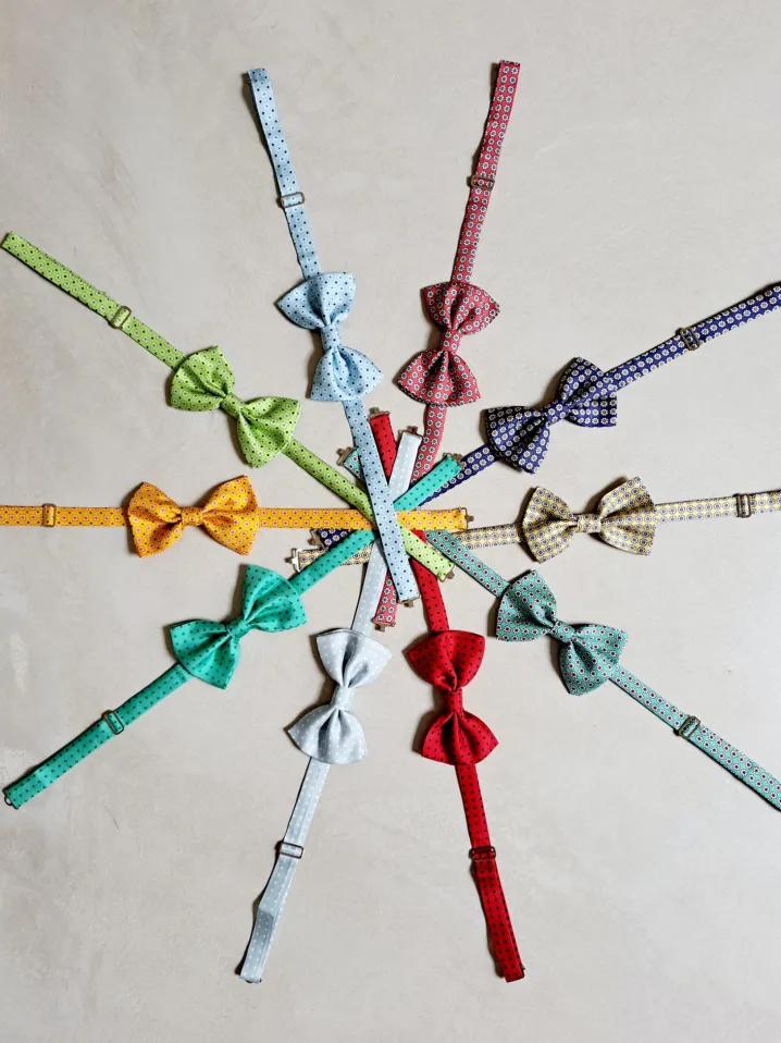 PAPILLON SETA POIS