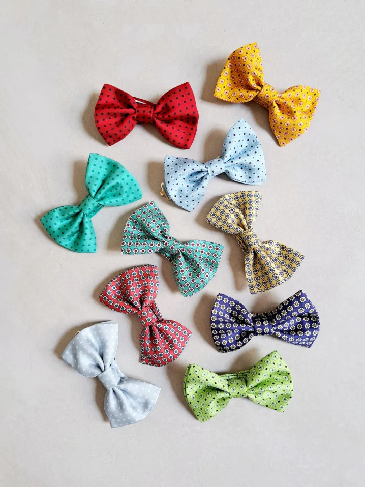 PAPILLON SETA POIS